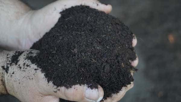 blumenerde in biotonne